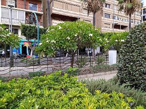 10 20210923 ALMERIA CENTRE VILLE AV FREDERICO GARCIA LORCA (36)